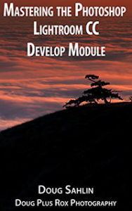 Mastering the Adobe Photoshop Lightroom Develop Module